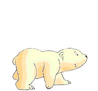 Bear with Me - Inspiration Line