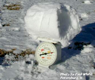 Snowroller